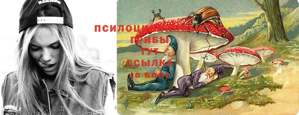 тгк Баксан